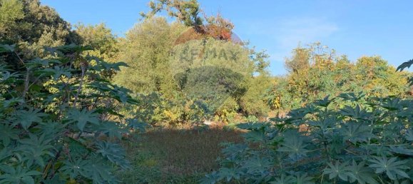 1-Zimmer Grundstück in Aci Catena, Italy, Nr. 113876 20