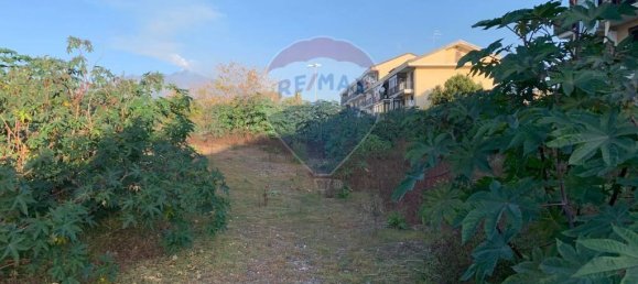 1-Zimmer Grundstück in Aci Catena, Italy, Nr. 113876 13