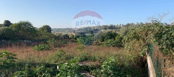 1-Zimmer Grundstück in Aci Catena, Italy, Nr. 113876 4