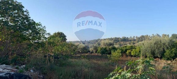 1-Zimmer Grundstück in Aci Catena, Italy, Nr. 113876 16