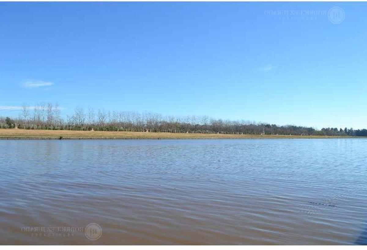  Land in Tigre, Argentina No. 39392