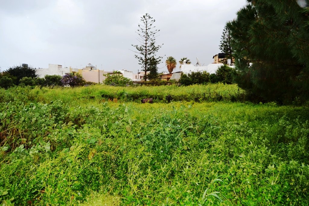 1450m² hôtel à vendre à Malia, Hersonissos, Heraklion, Crete, Greece № 5051