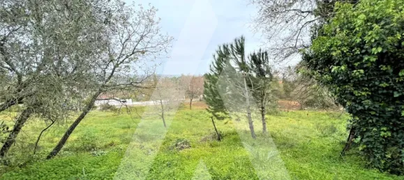 Terrain à Leiria, Portugal No. 87965 10