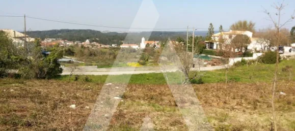 Terrain à Leiria, Portugal No. 87965 14