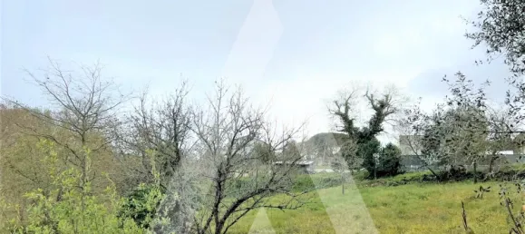 Terrain à Leiria, Portugal No. 87965 4