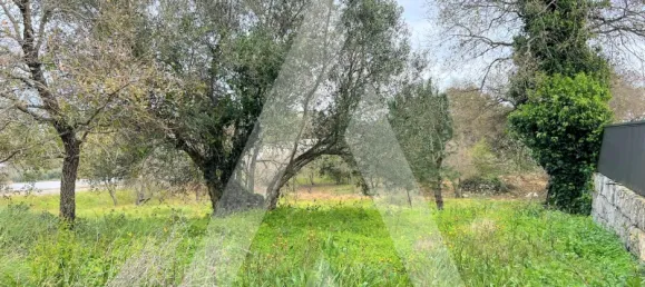 Terrain à Leiria, Portugal No. 87965 11