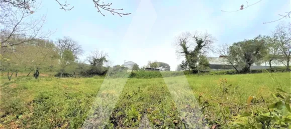 Terrain à Leiria, Portugal No. 87965 5