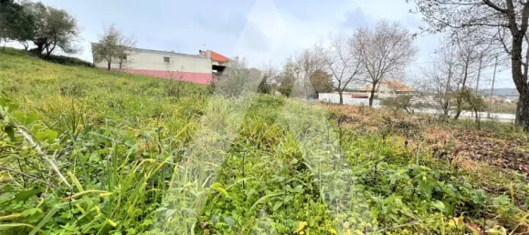 Terrain à Leiria, Portugal No. 87965 6