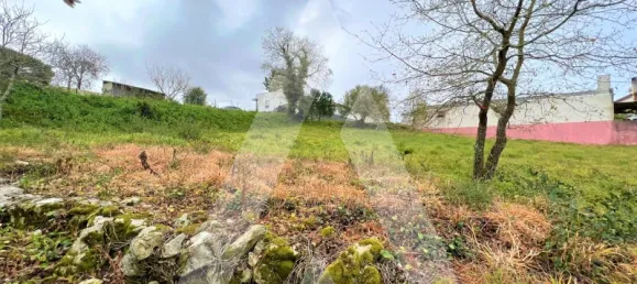 Terrain à Leiria, Portugal No. 87965 2