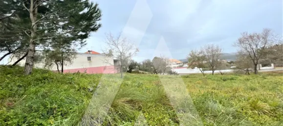 Terrain à Leiria, Portugal No. 87965 8