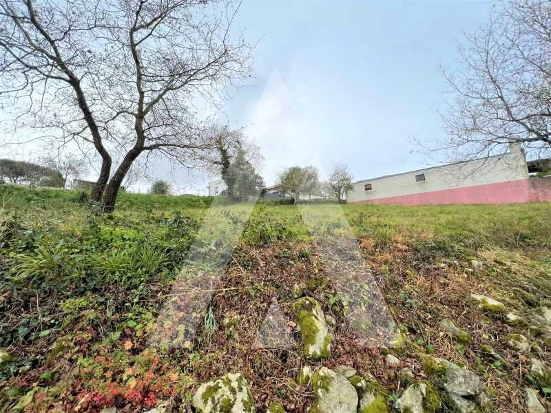 Terrain à Leiria, Portugal No. 87965