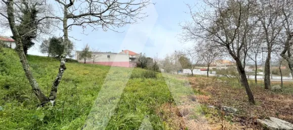 Terrain à Leiria, Portugal No. 87965 7