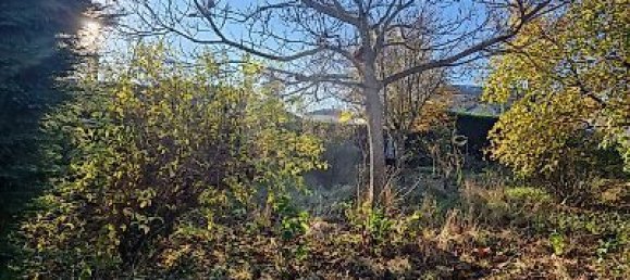 Terrain à Saint-André-de-Corcy, France No. 207524 2