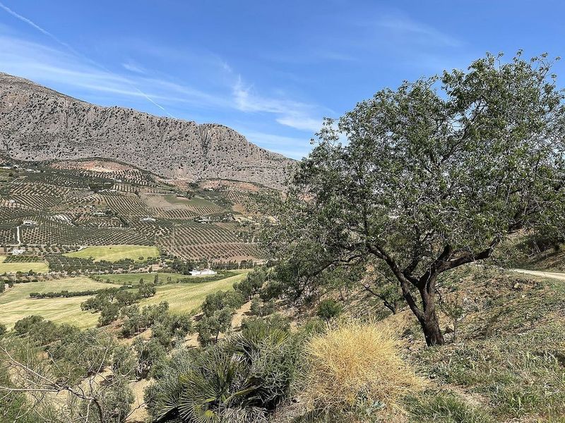 5000m² Land in Malaga, Spain No. 226820