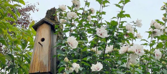 1 chambre Appartement à Munich, Germany No. 240206 41