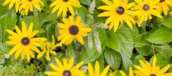 1 chambre Appartement à Munich, Germany No. 240206 42