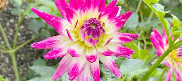 1 chambre Appartement à Munich, Germany No. 240206 7