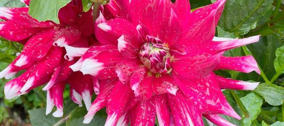 1 chambre Appartement à Munich, Germany No. 240206 6