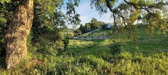 2364m² Land in Coimbra, Portugal No. 171609 2