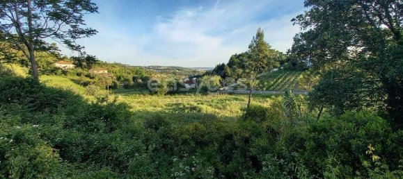 2364m² Land in Coimbra, Portugal No. 171609 3