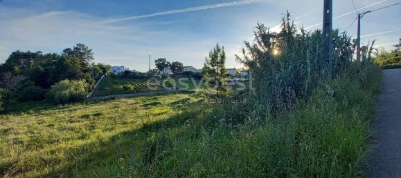 2364m² Land in Coimbra, Portugal No. 171609 8