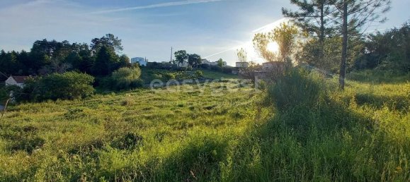 2364m² Land in Coimbra, Portugal No. 171609 5
