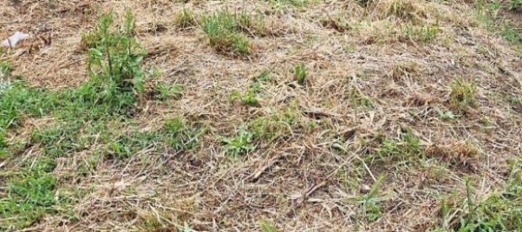 Квартира с 3 комнатами в Мортара, Италия № 278728 22