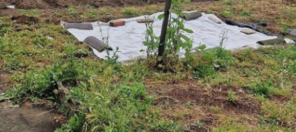 Квартира с 3 комнатами в Мортара, Италия № 278728 21