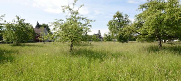 Terreno en Lustenau, Austria No. 144264 3