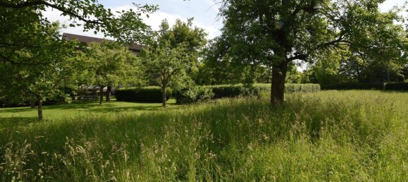 Terreno en Lustenau, Austria No. 144264 4