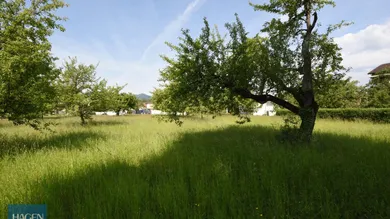 Terrain à Lustenau, Austria No. 144264