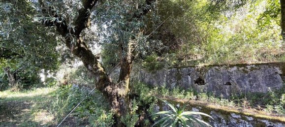 5 bedrooms House in Abrantes, Portugal No. 142583 21