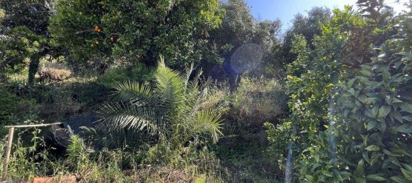 5 bedrooms House in Abrantes, Portugal No. 142583 22