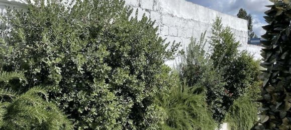 Casa T11 em Grândola, Portugal N.º 143363 13