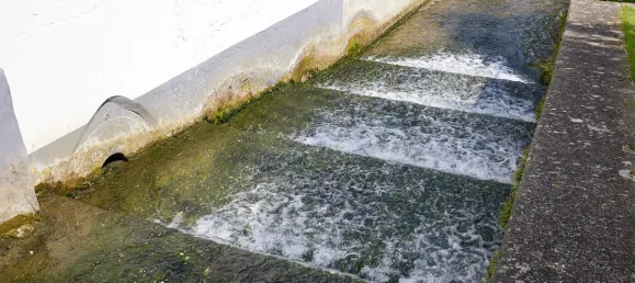 4 bedrooms House in Soest, Germany No. 145384 6