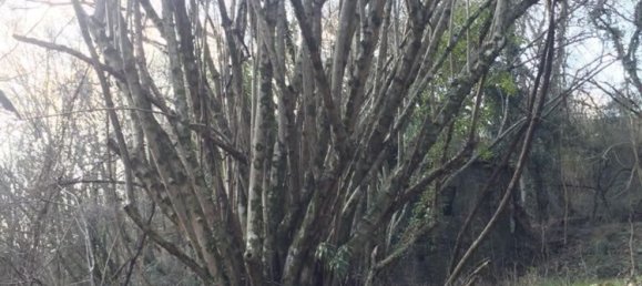 3غرفة منزل في Bagnone, Italy رقم 103755 11