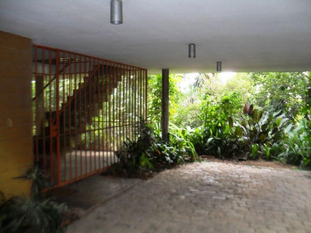 3 Schlafzimmer Haus in Sao Paulo, Brazil, Nr. 489811