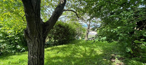 2 bedrooms Bungalow in Luftenberg an der Donau, Austria No. 101263 18