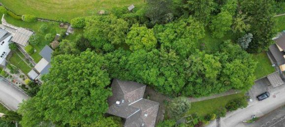 2 bedrooms Bungalow in Luftenberg an der Donau, Austria No. 101263 3