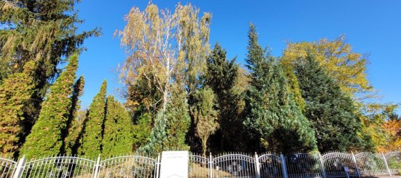 Terreno T3 em Markisch-Oderland, Germany N.º 284489 3