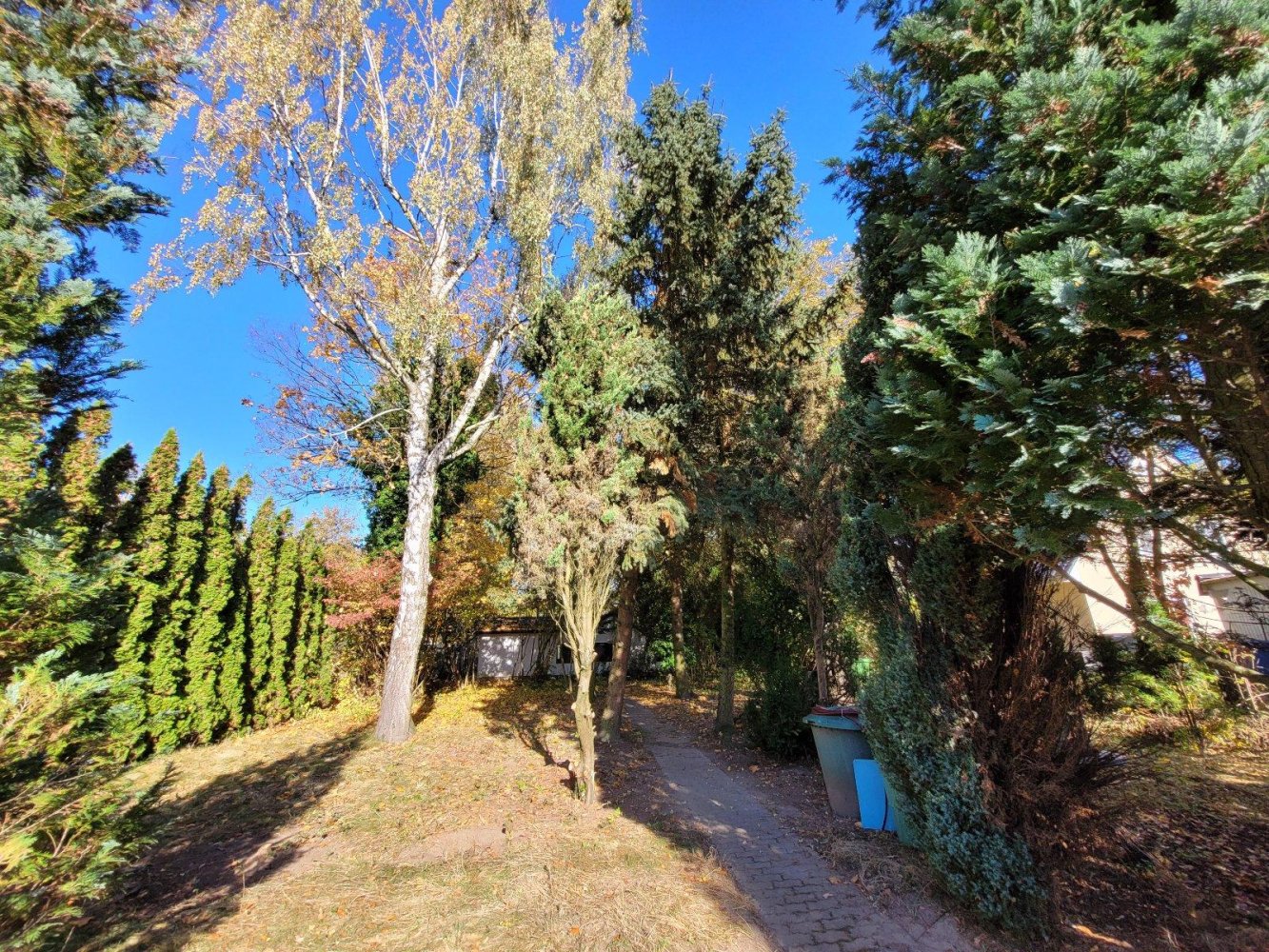 Terreno T3 em Markisch-Oderland, Germany N.º 284489