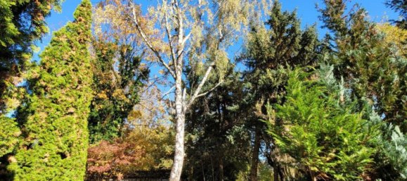 Terreno T3 em Markisch-Oderland, Germany N.º 284489 2