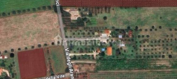 5 bedrooms Apartment in Cisterna di Latina, Italy No. 61176 5