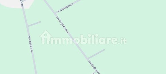 5 bedrooms Apartment in Cisterna di Latina, Italy No. 61176 6