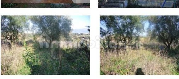 5 bedrooms Apartment in Cisterna di Latina, Italy No. 61176 12