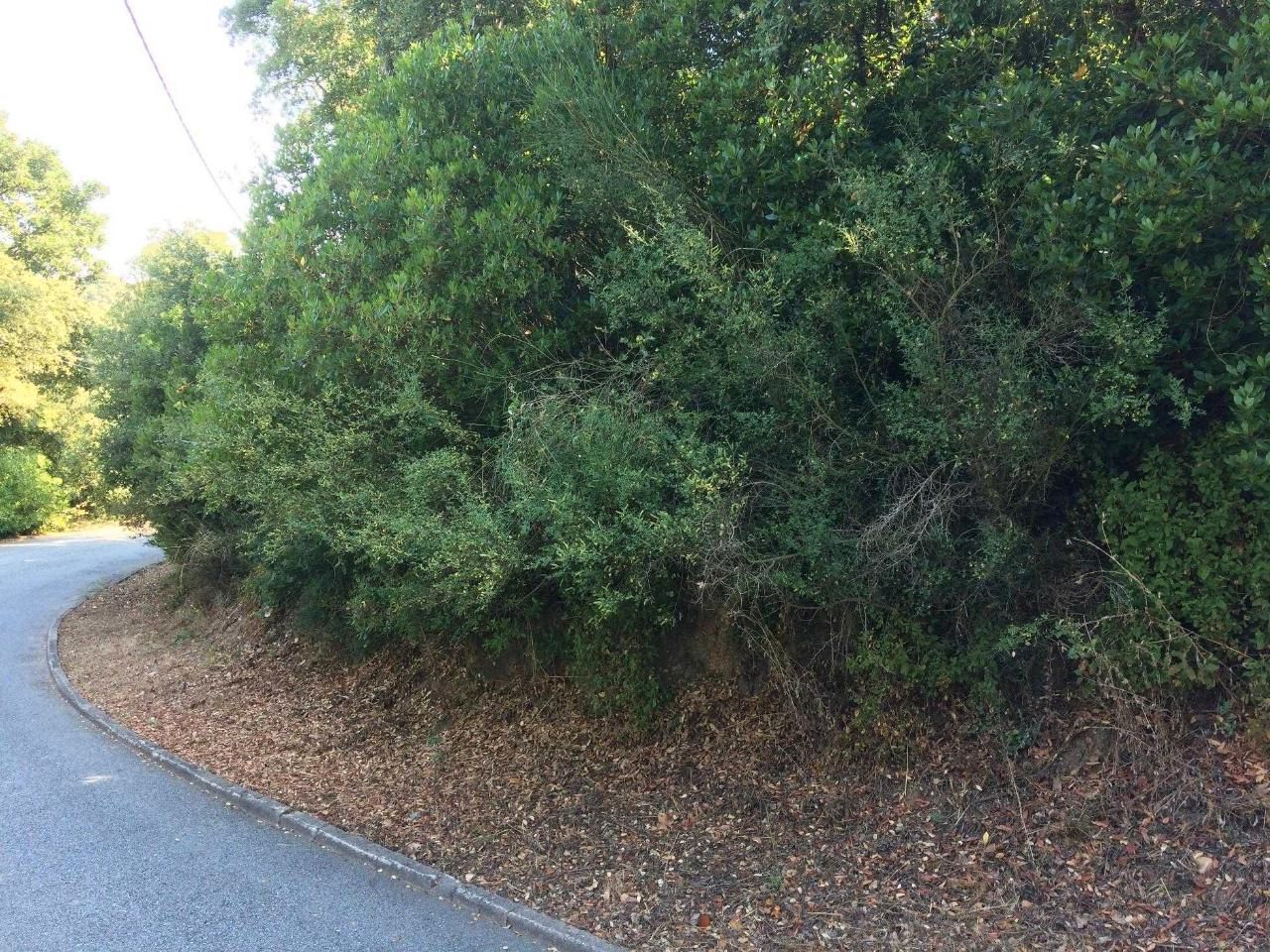 Terreno em Vallgorguina, Spain 948 m² N.º 163641