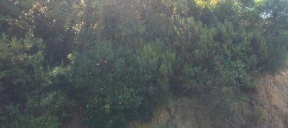 Terreno em Vallgorguina, Spain 948 m² N.º 163641 3