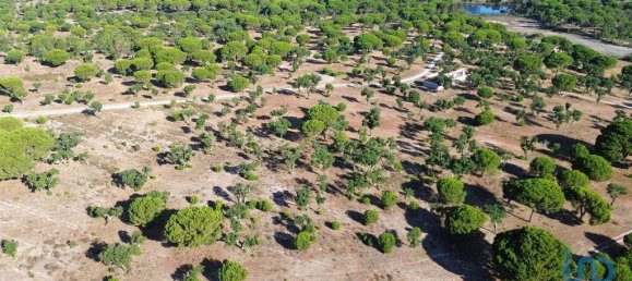 770000m² Land in Montargil, Portugal No. 130309 18