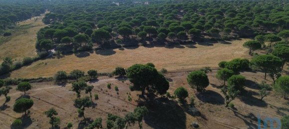 770000m² Land in Montargil, Portugal No. 130309 9