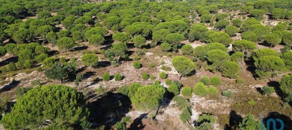 770000m² Land in Montargil, Portugal No. 130309 24